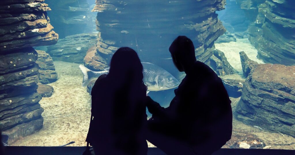 水族館デートで告白