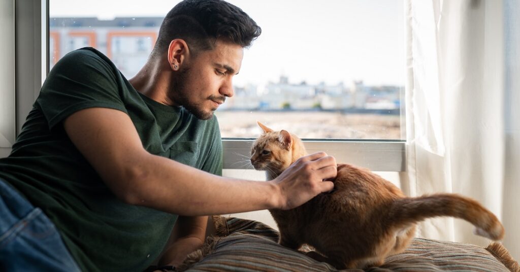 猫好き男子はモテる