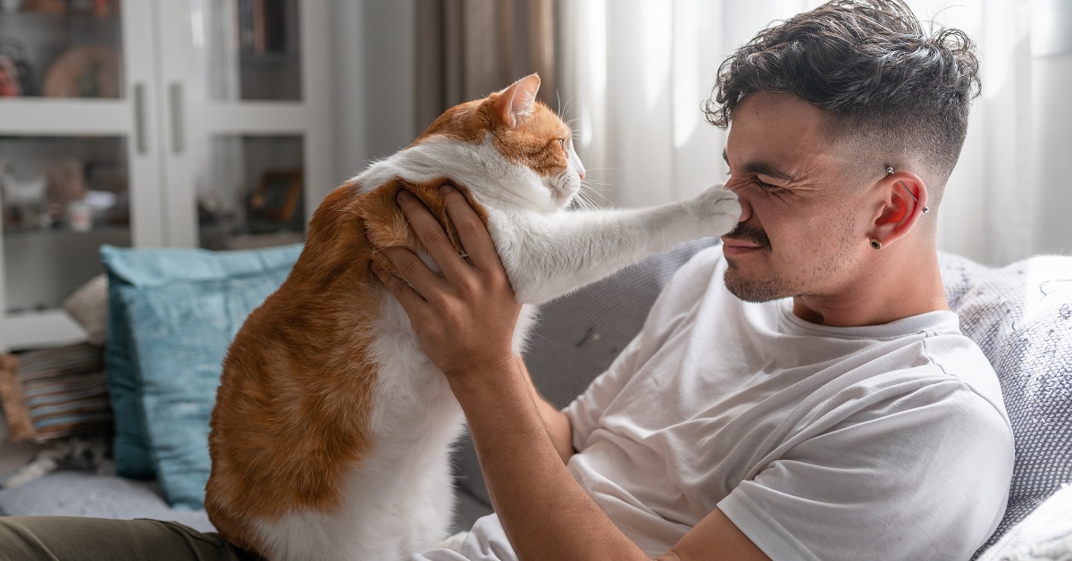 猫を飼っている一人暮らしの男性の心理や性格とは？猫を飼う独身男性ってやばい？