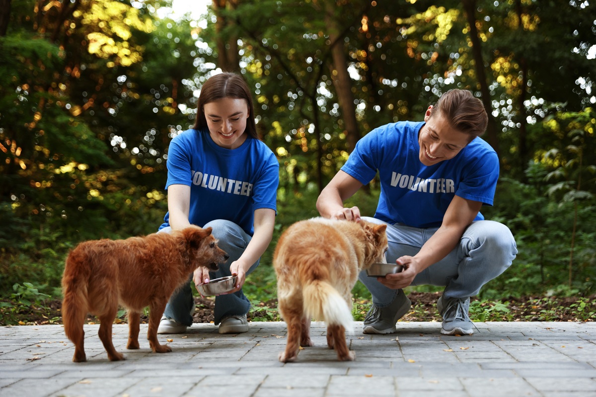 人としてしっかりしてる！ボランティアに参加している男性と女性のモテる人の魅力