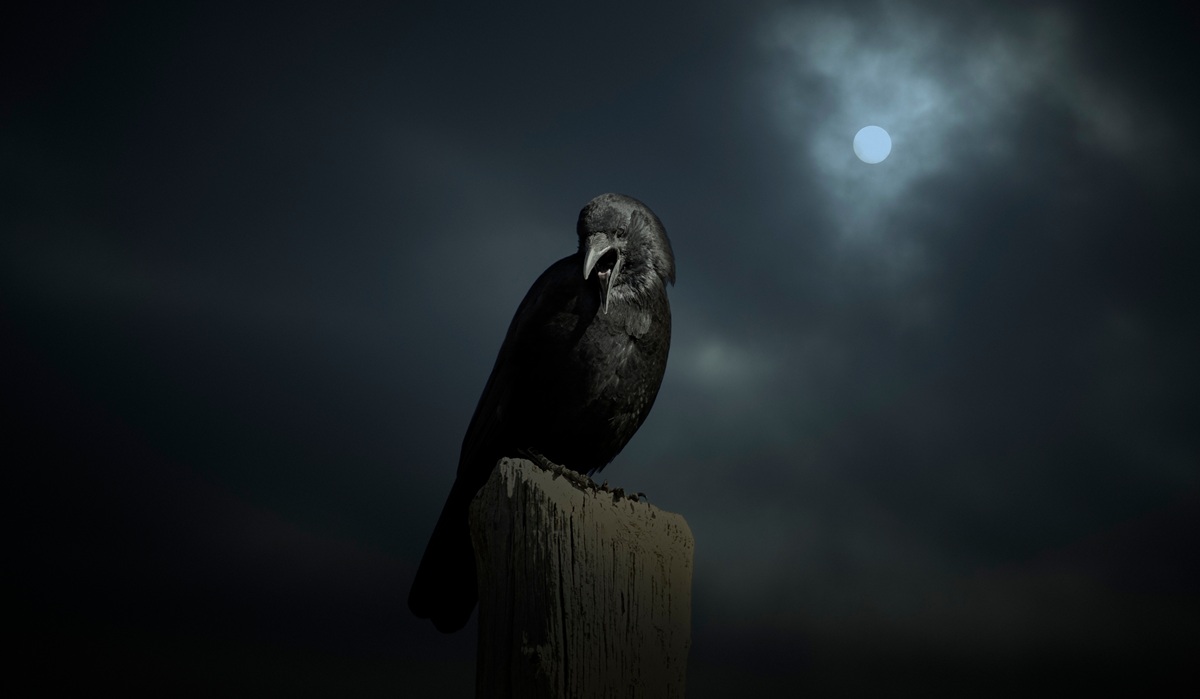 不吉な予感…夢占い「カラスの夢」を見た意味とは？シチュエーションごとに解説