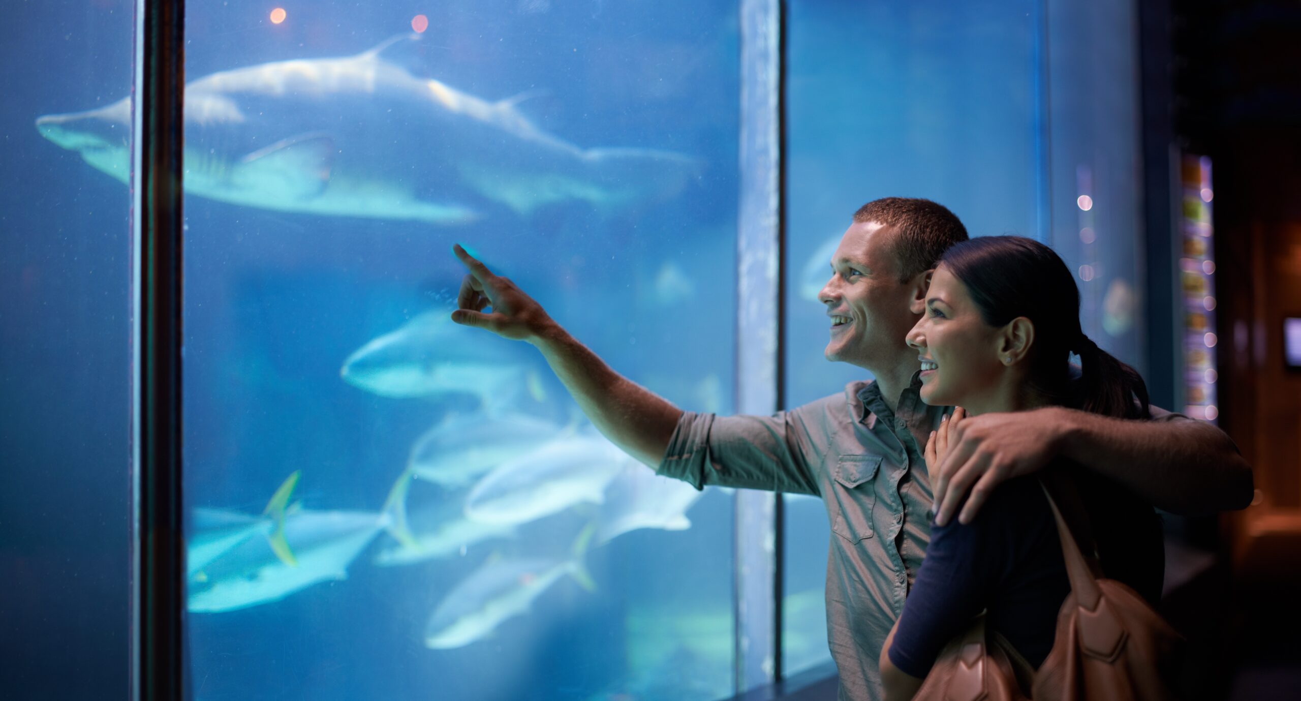 関西でカップルでのデートにおすすめな水族館ランキングを教えてください！ カップルでのデートの行き先として定番中の定番、水族館。薄暗いロマンチックな空間で美しい魚