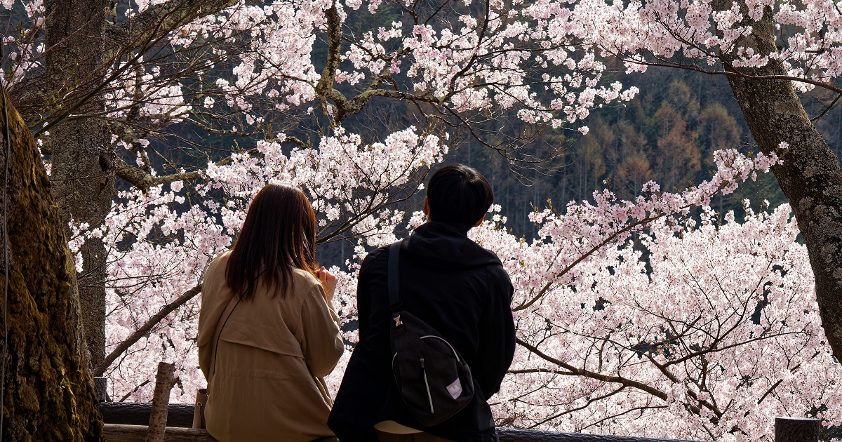 春休みになったら彼と行きたいデートスポットはどこでしょうか！？春休みなので学生達が多いディズニーランドやユニバーサルスタジオジャパンはちょっと避けたいですね。お