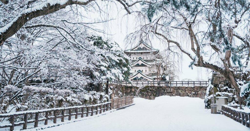 特に女性の方にお答えいただける