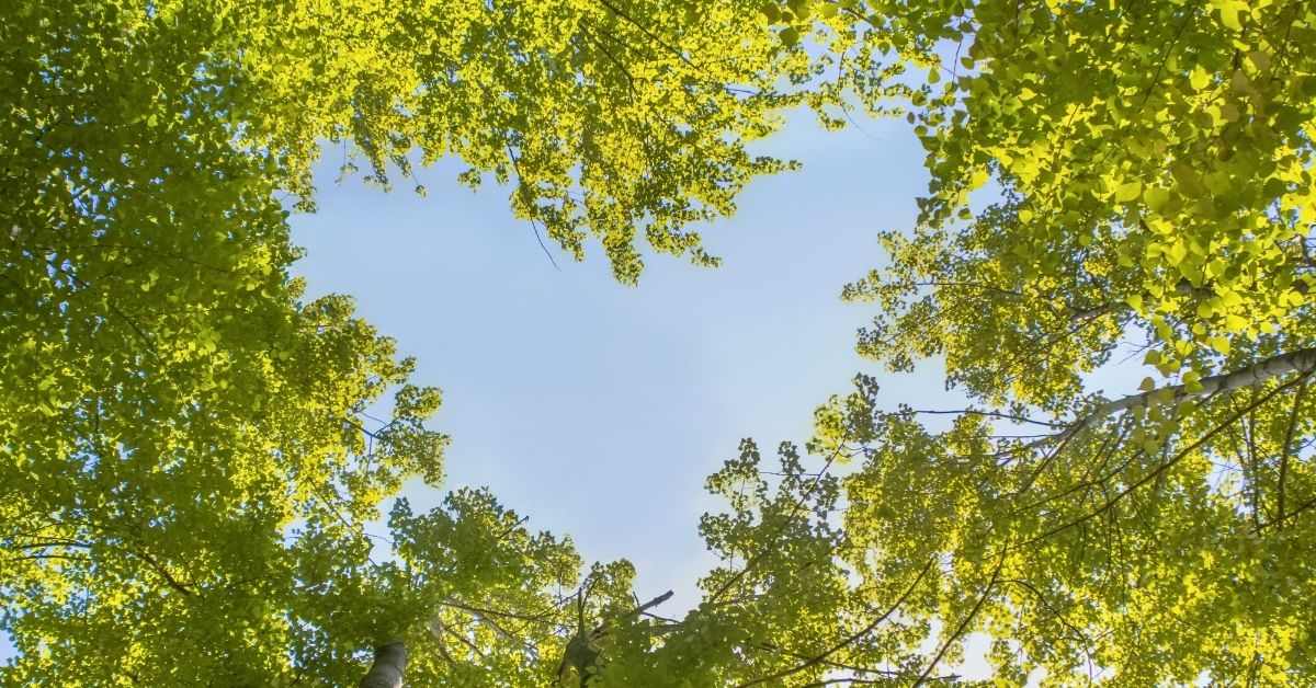 女性がなりたい