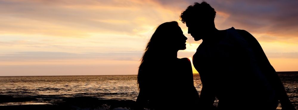 lupinus：イラスト画像