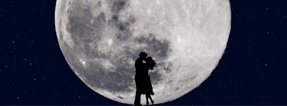 peony：イラスト画像