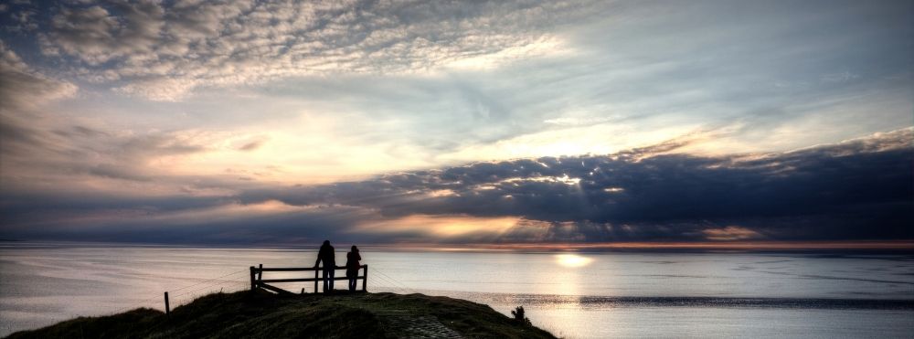 EIGHTREE：イラスト画像